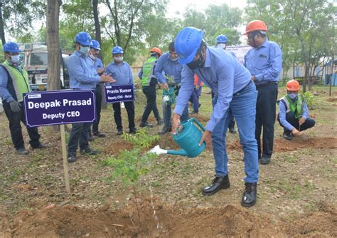 Vedanta Jharsuguda plants over 3 lakh saplings from Aug to Oct’21 ...