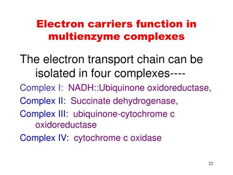 PPT - Chapter 19 Oxidative Phosphorylation PowerPoint Presentation, free download - ID:6306607