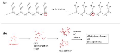 Scheme 3. Branching via chain transfer during the acrylate... | Download Scientific Diagram