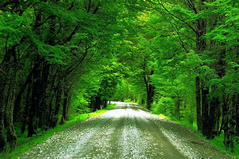 Green Road Wallpapers - Top Free Green Road Backgrounds - WallpaperAccess