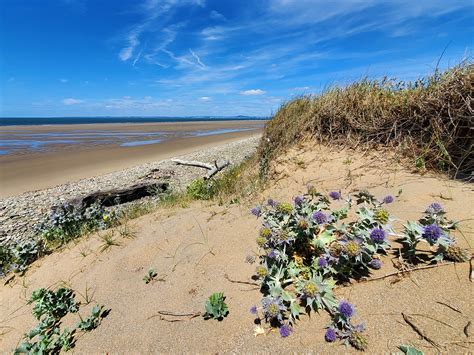 Photographs of Kenfig National Nature Reserve, Bridgend, Wales: Sea ...