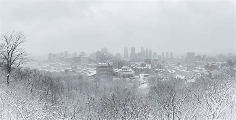 20 shots of what Montreal looks like during Tuesday's snowstorm | News