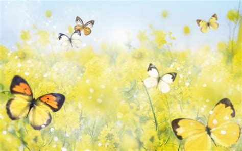 Beautiful Spring Images Free Download