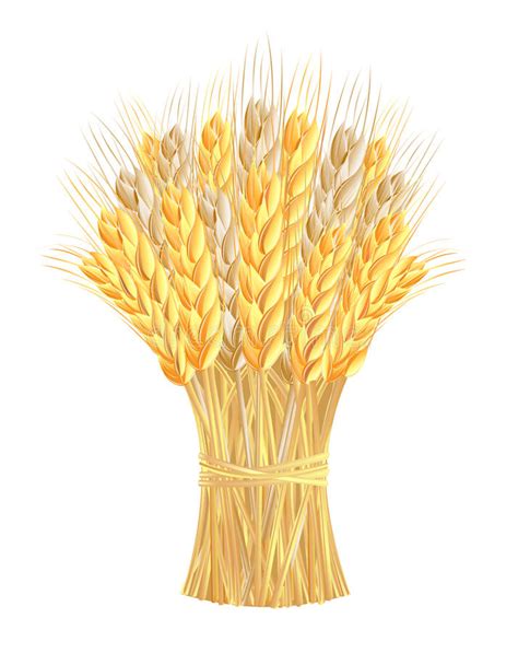 bundle of wheat clipart 20 free Cliparts | Download images on ...