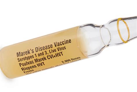 Zoetis steps up production of its Marek’s disease vaccine - VetSurgeon News - VetSurgeon.org ...