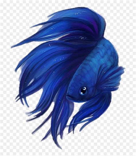 Blue Paradise Male Betta Realistic Betta Fish Drawing Hd Png | Images and Photos finder