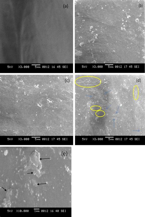 SEM image of a HDPE film, b HDPE sample after chemical treatment, c... | Download Scientific Diagram