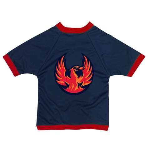 Coachella Valley Firebirds Primary Dog Jersey