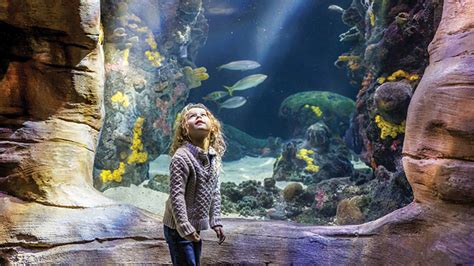 Win a Set of 4 Tickets to the Tennessee Aquarium! | Birminghamparent.com