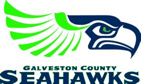 19 beautiful nfl teams logos - seattle seahawks logo transparent PNG ...