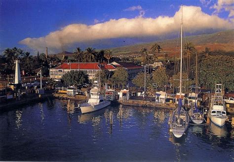 Lahaina Harbor Maui | Maui photos, Maui travel, Trip to maui