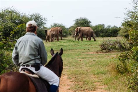 Top 6 Horseback Safaris in Africa | Africa Travel