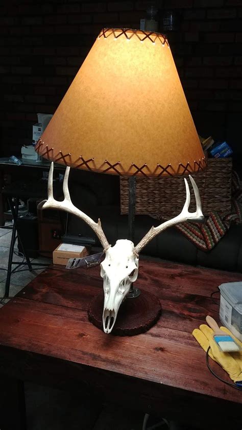 Lamp I made utilizing a deer skull. Deer Skull Decor, Deer Skulls ...