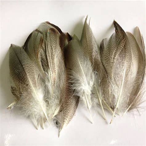 Beautiful! 10 pcs! DIY natural blue duck feathers 4 6 inches10 15cm-in Feather from Home ...