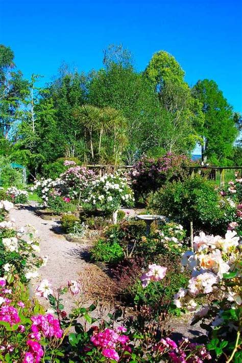 Katikati Bird Gardens Cottage in Katikati, Bay of Islands, New Zealand ...