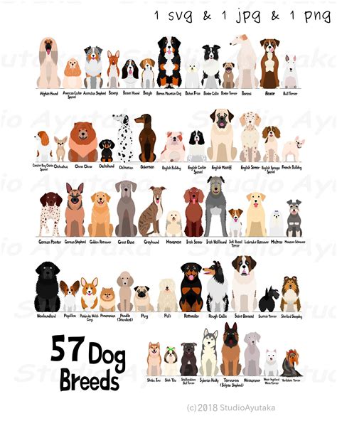 Dog Breeds Chart, Dog Chart, Dog Breeds List, Types Of Dogs Breeds, Small Dog Breeds, Cat Breeds ...