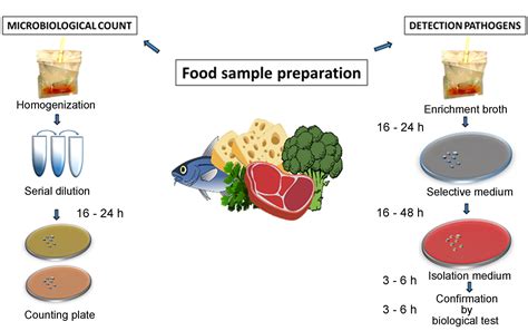 Sensors | Free Full-Text | Point-of-Need DNA Testing for Detection of Foodborne Pathogenic Bacteria