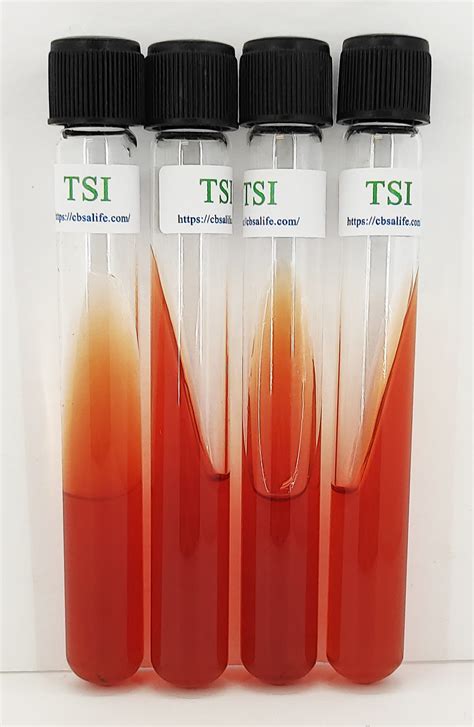 CBSAlife Triple Sugar Iron (TSI) Agar | CBSAlife