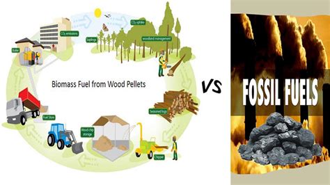 Free 33: Biomass Fuels Examples