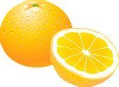 Orange fruit clipart florida pencil and in color orange fruit jpg – Clipartix