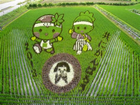 Rice Paddy Art: Don’t Miss Japan’s Otherworldly Art! | Goin’ Japanesque!