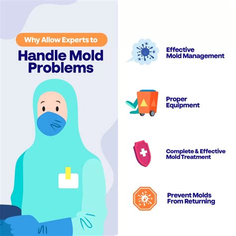 Mold Damage Prevention Tips - Deep Water Emergency Services