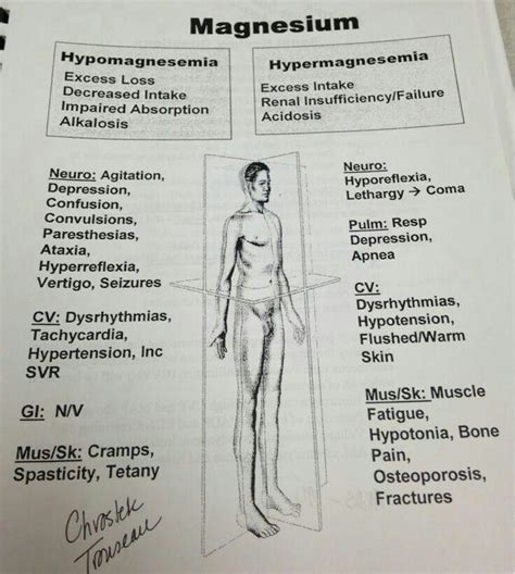 Magnesium / hypomagnesemia / hypermagnesemia | Nursing school survival, Nursing school, Nursing ...