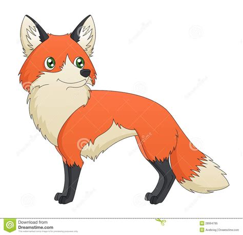 Cartoon Red Fox Standing Illustration