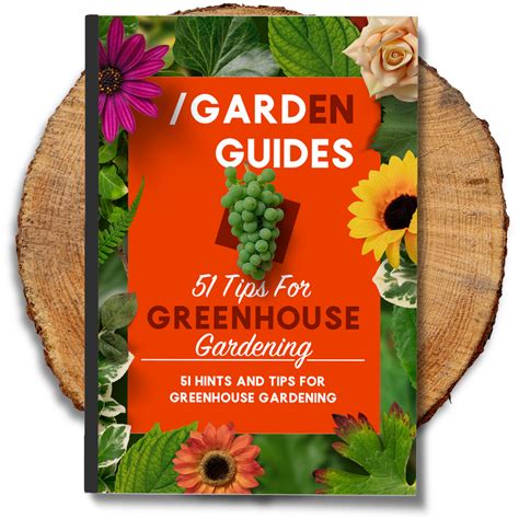 Greenhouse Gardening | 51 Tips to get Ahead – graceandaugust.co.nz