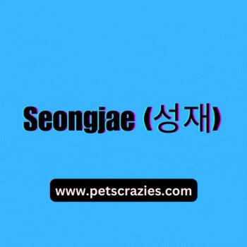 200+ Korean Cat Names - Elegant And Distinctive Ideas