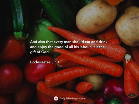 Ecclesiastes 3:13 - Daily Bible Inspirations