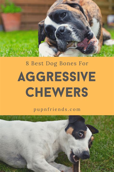 8 Best Dog Bones for Aggressive Chewers | Strong Dog Bones