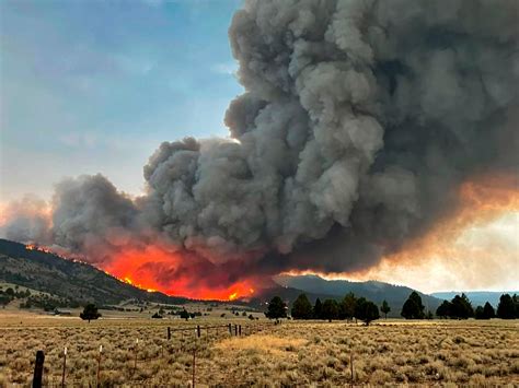 Wildfire smoke linked to 19,000 additional Covid cases in US West and ...