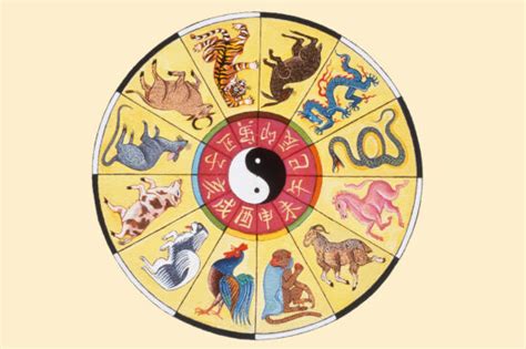 Exploring the Chinese Zodiac Elements: Unveiling the Significance for Your Chinese Zodiac