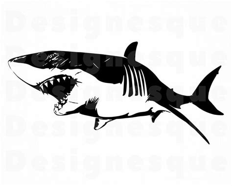 Great White Shark Vector at Vectorified.com | Collection of Great White ...