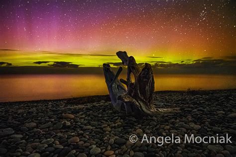 Lake Superior Aurora Borealis and Driftwood Print / Calm of | Etsy | Northern lights, Landscape ...