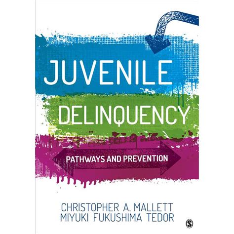 Juvenile Delinquency : Pathways and Prevention (Paperback) - Walmart ...