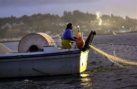 Conservation group wants gill-net salmon fishing ban on ballot - oregonlive.com