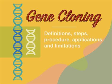 Gene cloning: Definitions, Steps, Procedure, Applications and Limitations – Genetic Education