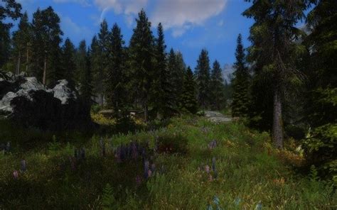 The Elder Scrolls V: Skyrim GAME MOD Skyrim Flora Overhaul v.2.81 - download | gamepressure.com