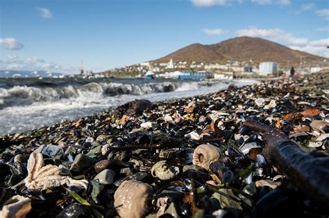 Russian sea pollution forms massive moving slick | ABS-CBN News