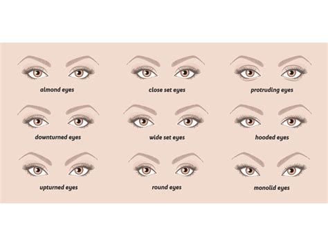 Types Of Eyelids Makeup | Saubhaya Makeup