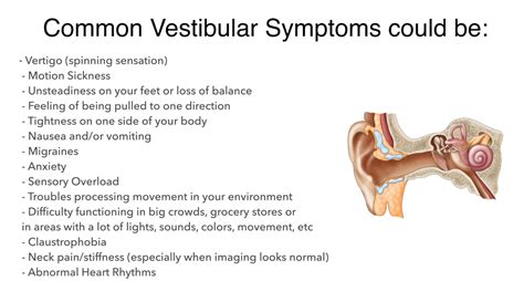 60% of Chronic Lyme patients experience Neuroborreliosis. In the video ...