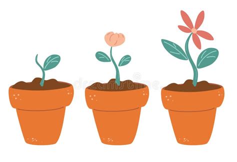 Seed Germination Clipart