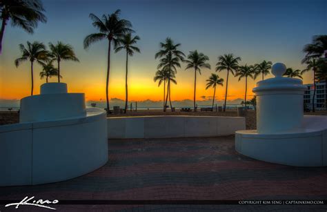 Fort Lauderdale Beach Park Coconut Tree Before Sunrise