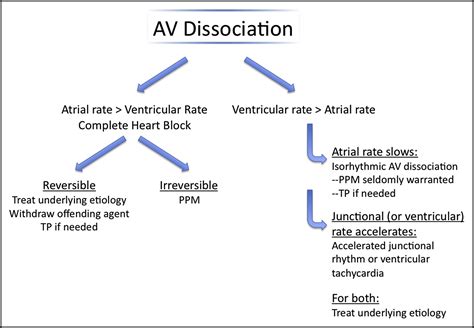 Food for Thought: Atrioventricular Dissociation - The American Journal of Medicine