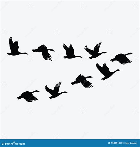 Flock Of Ducks. A Cartoon Flock Of Birds. Vector Illustration Of Flying ...