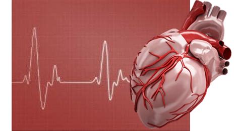 Reducing the risk of cardiovascular disease - On Medicine