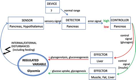 Feedback Loop For Blood Glucose Level Biomed