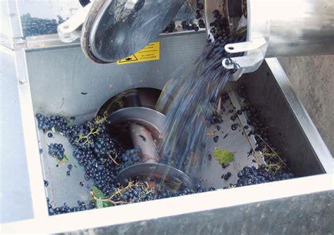 Grapes N’ Barrels Winemaking Methodology – A Comprehensive Overview of Our Winemaking Philosophy